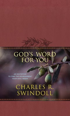 God's Word for You (Imitation Leather)