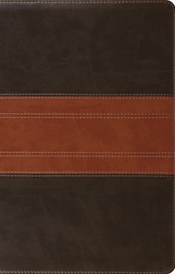 ESV Large Print Thinline Reference Bible, Forest/Tan (Imitation Leather)