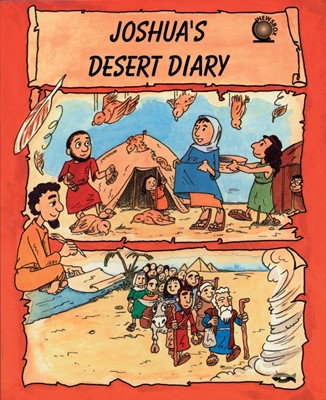 Desert Diary (Paperback)