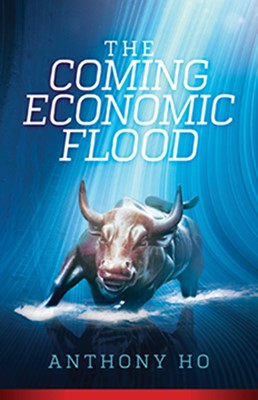 The Coming Economic Flood (Paperback)