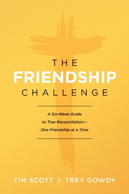 The Freindship Challenge (Paperback)