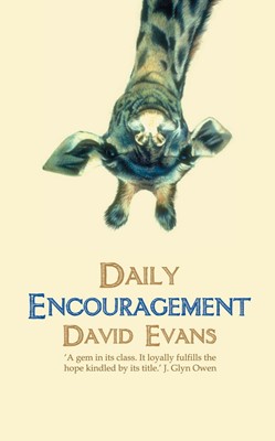 Daily Encouragement (Paperback)
