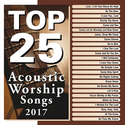 Top 25 Acoustic Worship Songs 2017: 2 CD (CD-Audio)