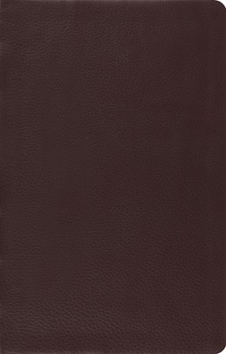 ESV Large Print Thinline Reference Bible (Brown) (Leather Binding)