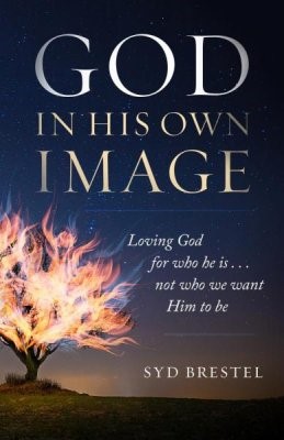 God In His Own Image (Paperback)