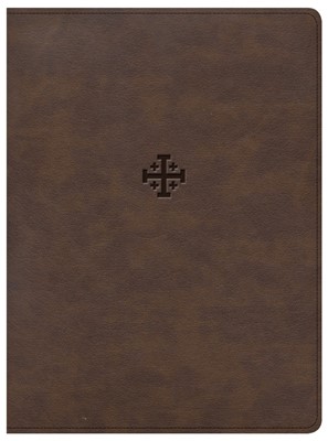 CSB Life Connections Study Bible, Brown, Indexed (Imitation Leather)