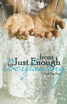 From Just Enough to Overflowing (Paperback)