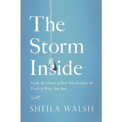 The Storm Inside (Paperback)