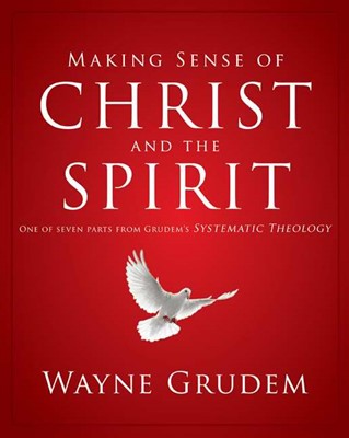 Making Sense of Christ and the Spirit (Paperback)