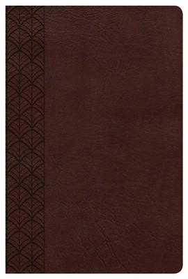 CSB Study Bible For Women, Chocolate LeatherTouch (Imitation Leather)