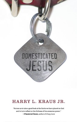 Domesticated Jesus (Paperback)