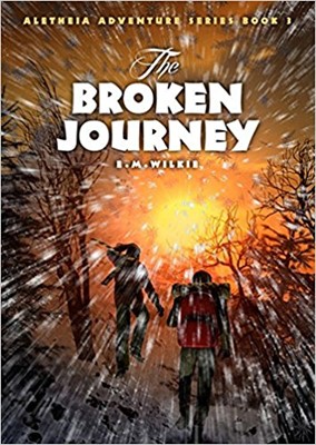 The Broken Journey (Paperback)