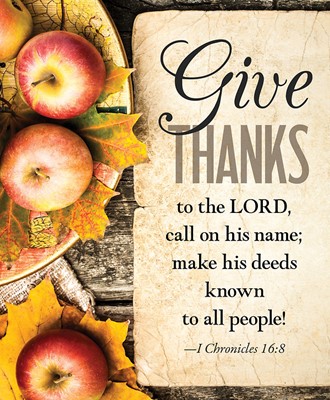 Give Thanks Apples Thanksgiving Bulletin Large (Pkg of 50) (Bulletin)