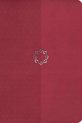 The HCSB Essential Teen Study Bible Rose Leathertouch (Imitation Leather)