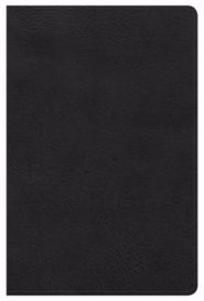 HCSB Ultrathin Reference Bible, Black Leathertouch, Indexed (Imitation Leather)