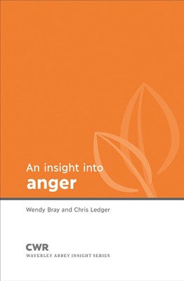 Insight into Anger (Paperback)