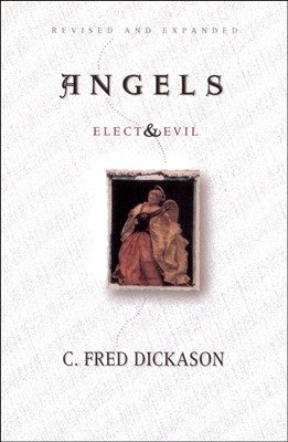 Angels Elect And Evil (Paperback)