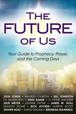 The Future Of Us (Paperback)