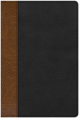 CSB Rainbow Study Bible, Black/Tan LeatherTouch, Indexed (Imitation Leather)