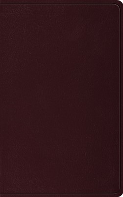ESV Thinline Bible, Bonded Leather, Burgundy (Bonded Leather)