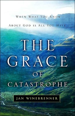 The Grace Of Catastrophe (Paperback)