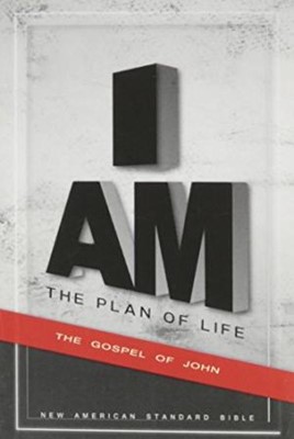 NAS Plan Of Life-Gospel Of John (Paperback)