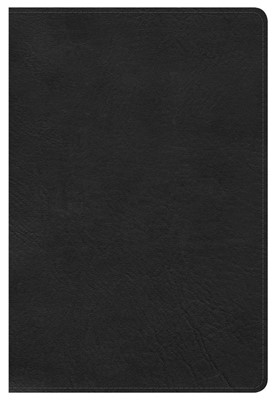 HCSB Large Print Personal Size Bible, Black Leathertouch (Imitation Leather)