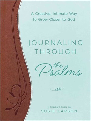 Journaling Through the Psalms (Paperback)
