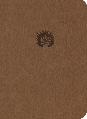 ESV Reformation Study Bible LL Light Brown (Leather-Look)