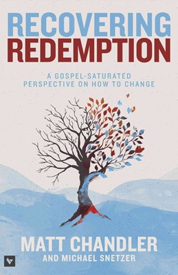 Recovering Redemption (Paperback)