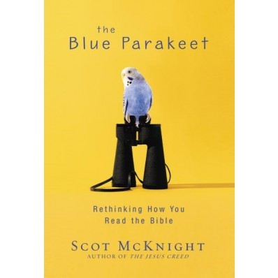 The Blue Parakeet (Paperback)
