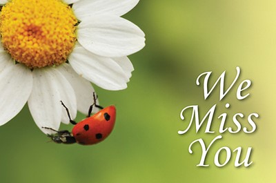 We Miss You Ladybug Postcard (Pkg of 25) (Postcard)