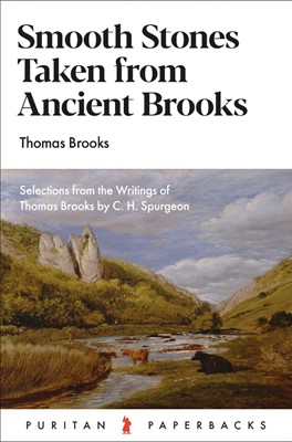 Smooth Stones Taken From Ancient Brooks (Paperback)