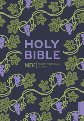 NIV Holy Bible (Hodder Classics) (Paperback)