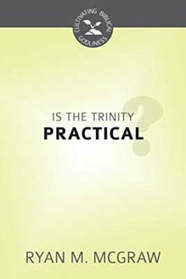 Is the Trinity Practical? (Paperback)