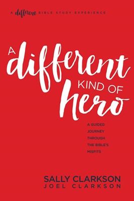 Different Kind Of Hero, A (Paperback)