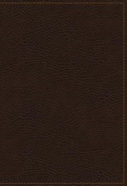 KJV Study Bible, The, Indexed, Full-Color Ed. (Bonded Leather)