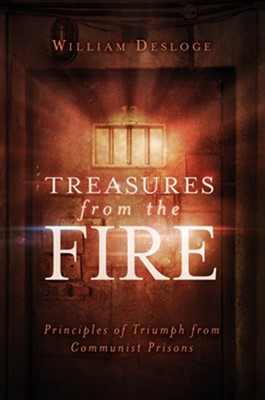 Treasures From The Fire (Paperback)