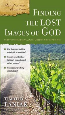 Finding The Lost Images Of God (Paperback)