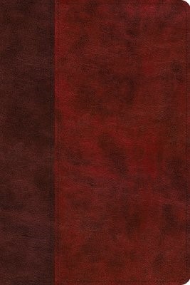 ESV Story of Redemption Bible (Imitation Leather)