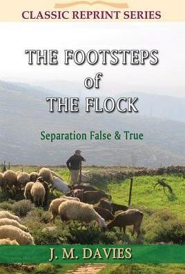 The Footsteps of the Flock (Paperback)