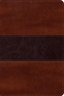 RVR 1960 Biblia del Pescador letra grande, caoba símil piel (Imitation Leather)