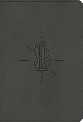 ESV Kid's Bible, Compact, TruTone, Sword of the Spirit (Imitation Leather)