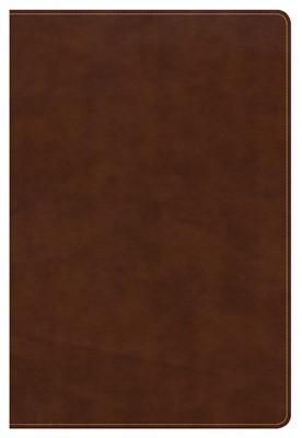 CSB Large Print Ultrathin Reference Bible, British Tan (Imitation Leather)