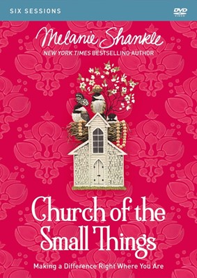 Church Of The Small Things Video Study (DVD)