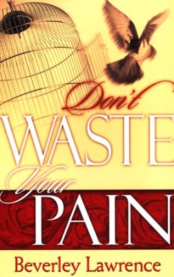 Don't Waste Your Pain (Paperback)