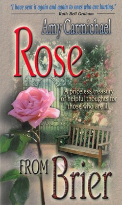 Rose From Brier (Paperback)