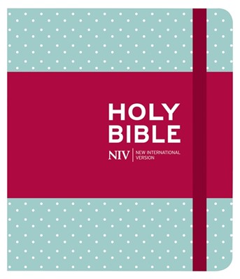NIV Journaling Mint Polka Dot Cloth Bible (Hard Cover)