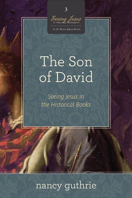 The Son Of David (Paperback)