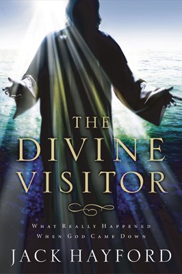 Divine Visitor (Paperback)